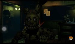 What the hell pooping Meme Template