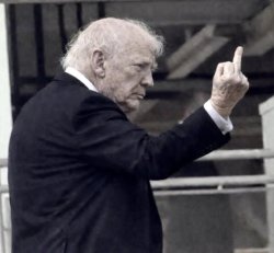 Trump pointing Meme Template