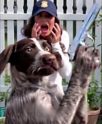 Kristi Noem dog gun shoot payback Meme Template