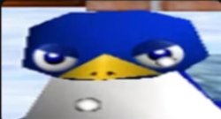 Angry Penguin Mom Meme Template