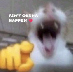 Ain't Gonna happen Meme Template