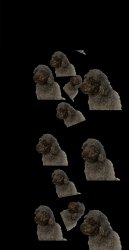 Crunchwrap Supremacy Meme Template