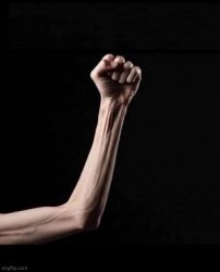 Mr Punyverse Meme Template