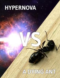 Hypernova vs A Dying Ant Meme Template