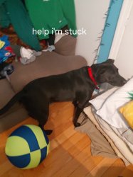 When your play with one of those finger traps Meme Template