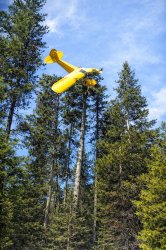 Missed it by that much! Meme Template