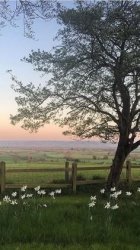 Nature aesthetic Meme Template