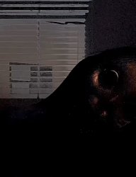 SCP-S-017 Meme Template