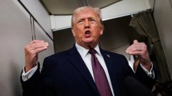 Trump Fighter Meme Template