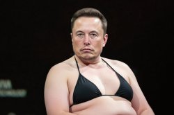 Elon Musk in Bikini Meme Template