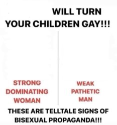 Bisexual propaganda Meme Template