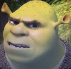 shrek Meme Template