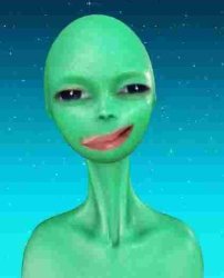 don quaivis the 3rd Meme Template