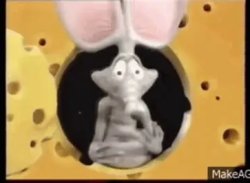 Rap Rat Meme Template