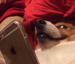 Chrisjoines1 Meme Template