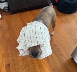 ghost… Meme Template