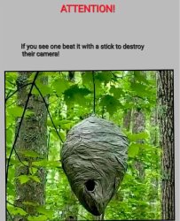 beat it Meme Template