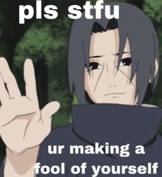 Stfu your making a fool of yourself Meme Template