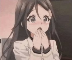 Embarrassed anime girl Meme Template
