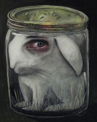 Rabbit in a jar Meme Template