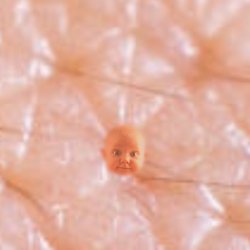 Pore baby Meme Template