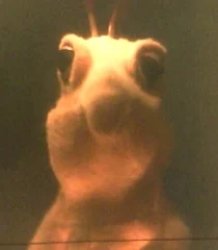 Skippy reaction Meme Template