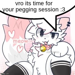 its time for your pegging session Meme Template
