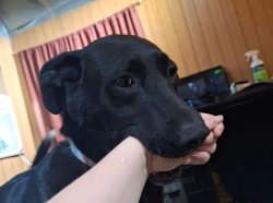 I Holds Meme Template