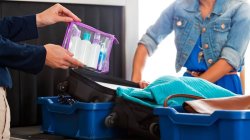 TSA Bullies Meme Template