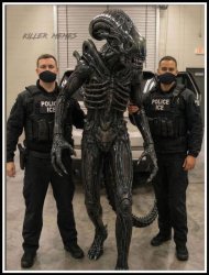 Ice with Illegal Alien Meme Template