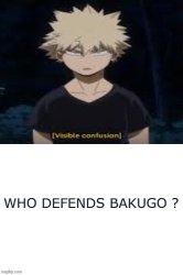 who defends bakugo ? Meme Template