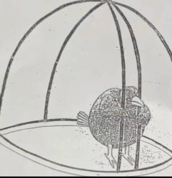 bird in open cage Meme Template