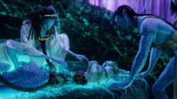 Avatar switch Meme Template