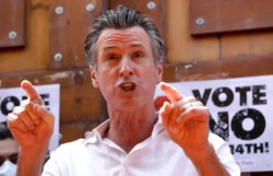 Gavin Newsome Meme Template