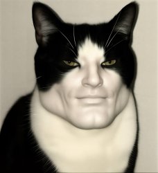 Mewing Cat Meme Template