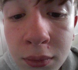 basti goon sauce Meme Template