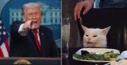 Trump Screaming at Cat Meme Template