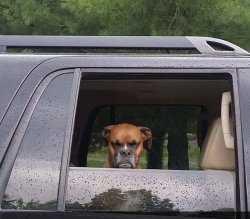 Chrisjoines1 Meme Template