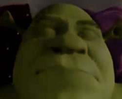 Shrek annoyed Meme Template