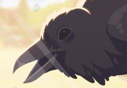 Ravenwood good Meme Template