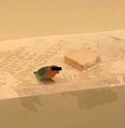 Dutch Jailbird Meme Template