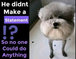 Statement Dog Meme Template