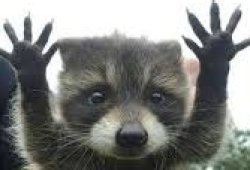 absolute cinema Meme Template