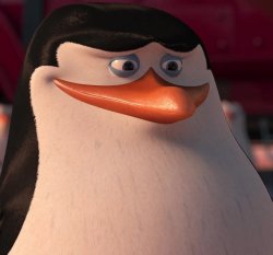 Skipper Meme Template