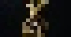 extremely tiny spring bonnie Meme Template