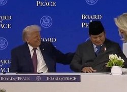 Ant take us sing ant take us sing Meme Template