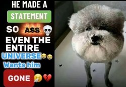 Ass Statement Universe Dog Meme Template