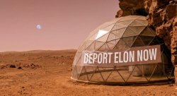 Deport Elon Now Meme Template