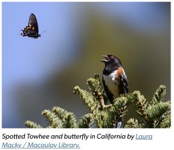 Is This A Pigeon IRL Meme Template