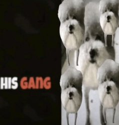 His gang Meme Template